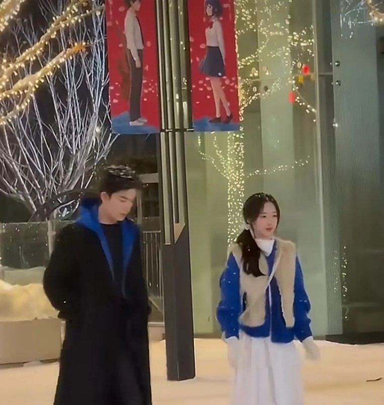 当一只豹从风电场走过：在人类改造的世界里，如何为野生动物“纪实”